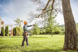 Best Soil Testing and Treatment  in Lexington, SC